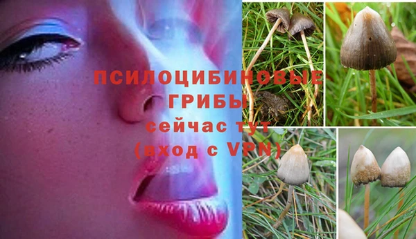 МДМА Магас