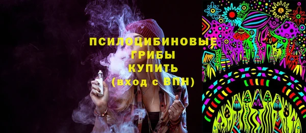 PSILOCYBIN Магадан
