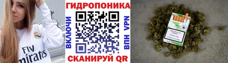 Конопля гибрид  Тайшет 